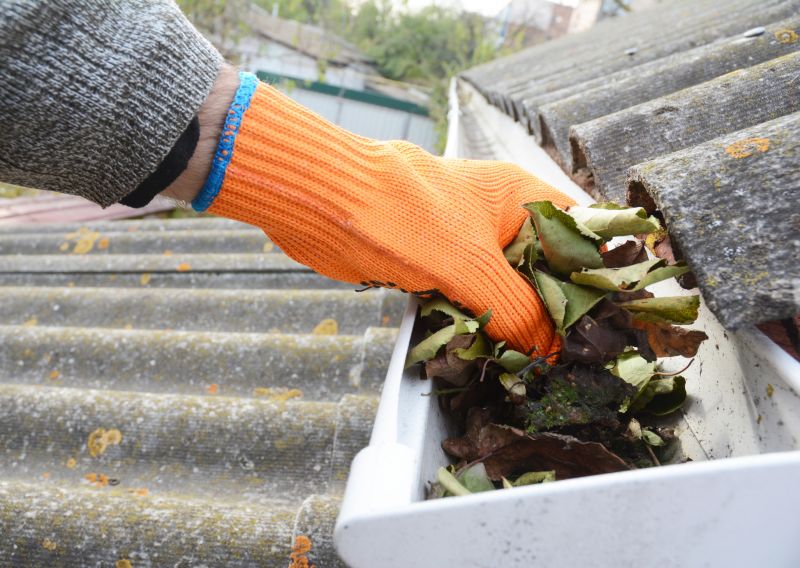 Gutter Cleaning in Monmouth County, NJ