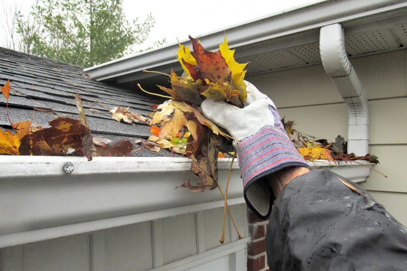 Gutter Pine Needle Removal in Long Island, NY